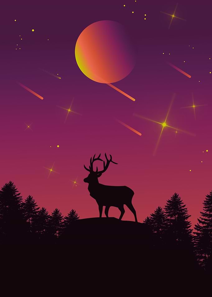 Deer in the jungle