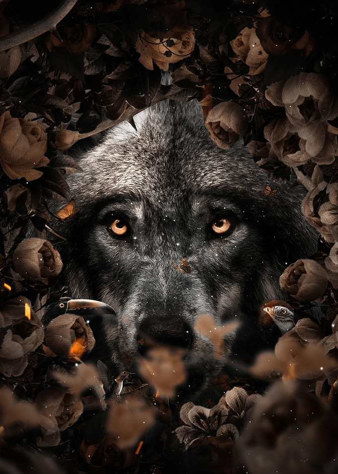 Floral Wolf