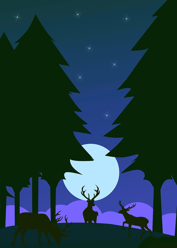 Deer in the jungle