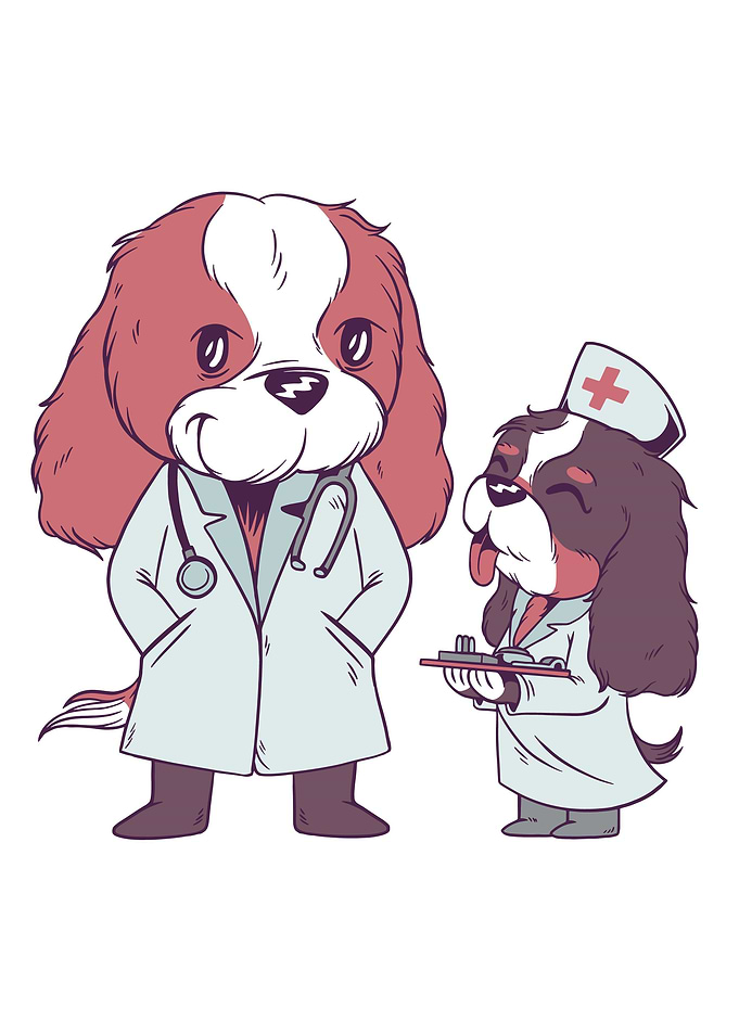 Medical Doctor Dog