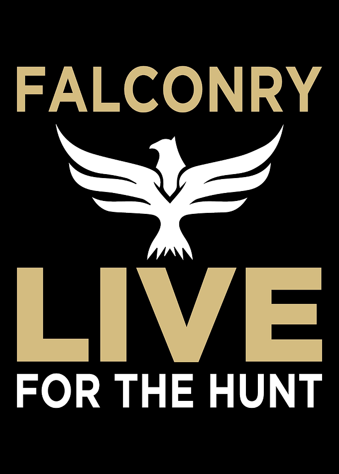 Falconry Falcon Falconer