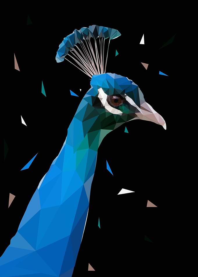 peacock low poly