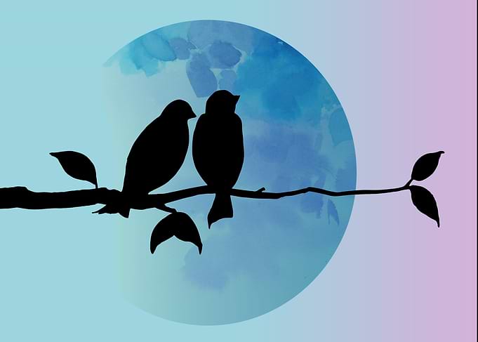 Birds and Moon