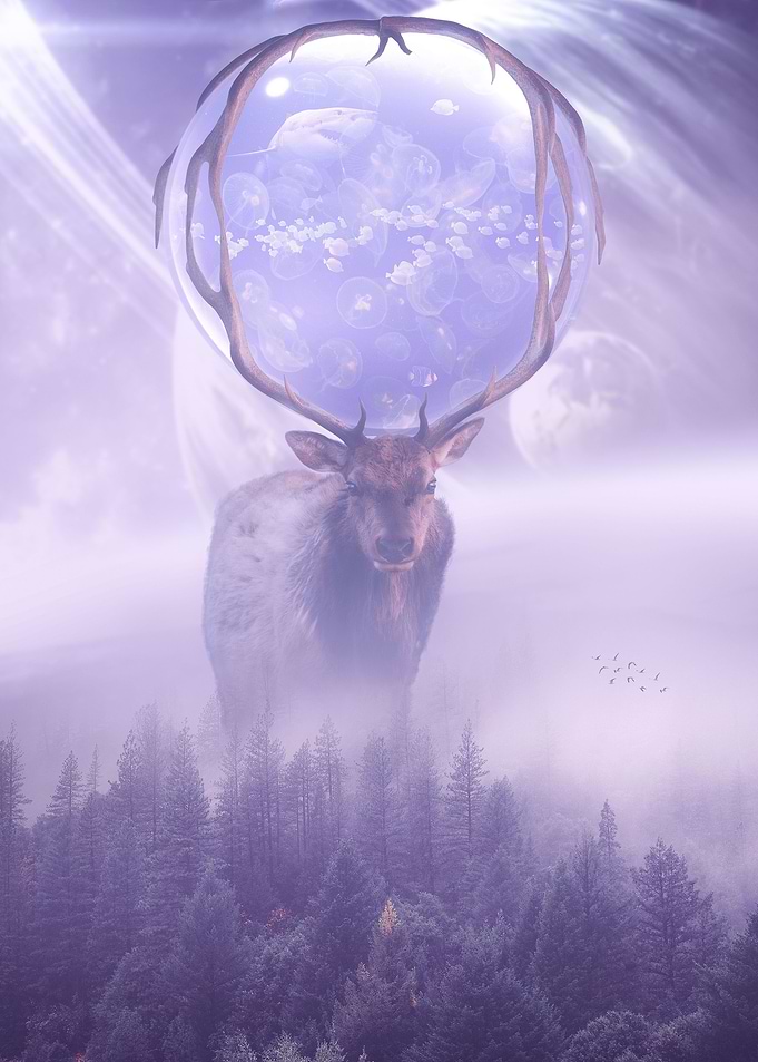 DEER OCEAN