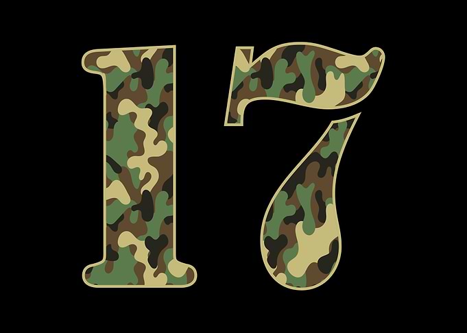 17th Birthday Soldier Camo