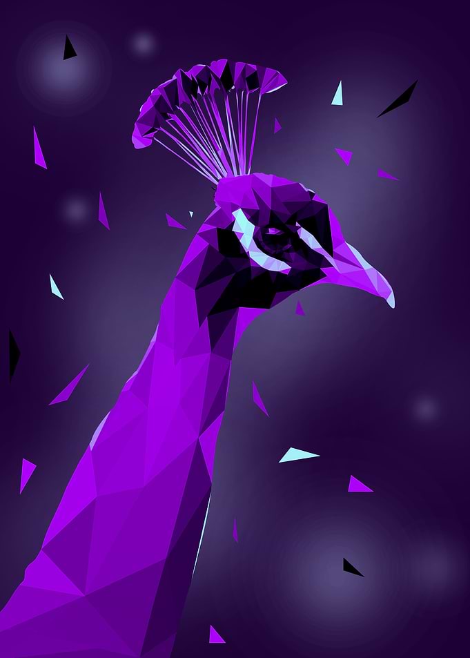 peacock low poly