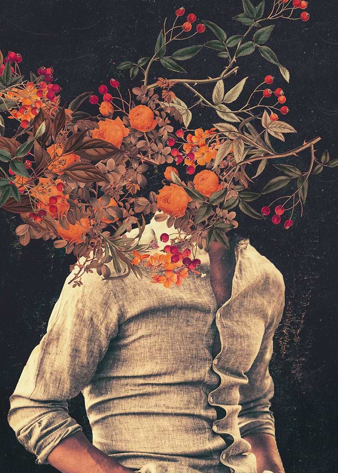 Roots