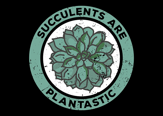 Succulents Plant Lover