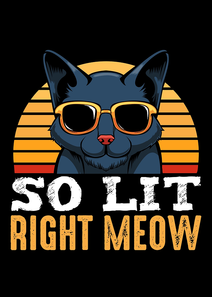 So Lit Right Meow Party Ra