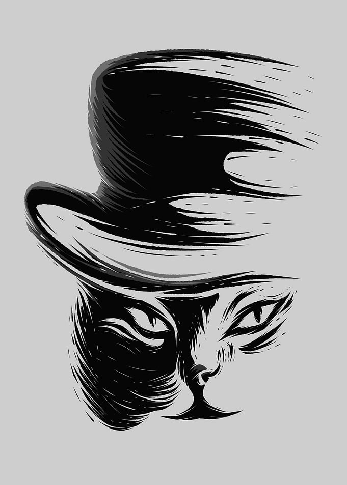 Cat And hat