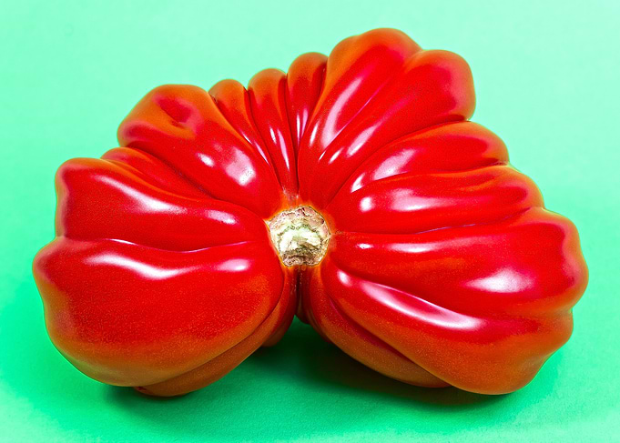 Odd tomato