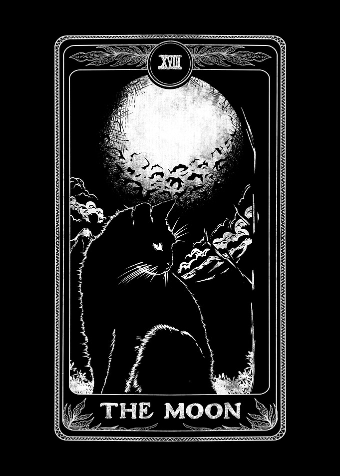 The Moon Cat Tarot