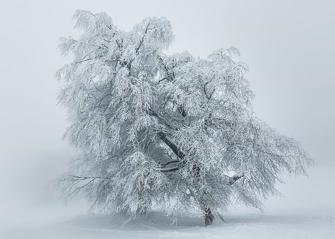 Icy cover
