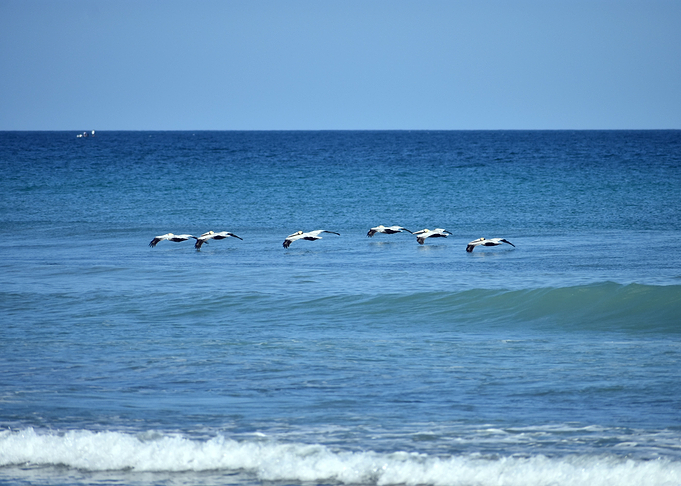 Riding the Waves