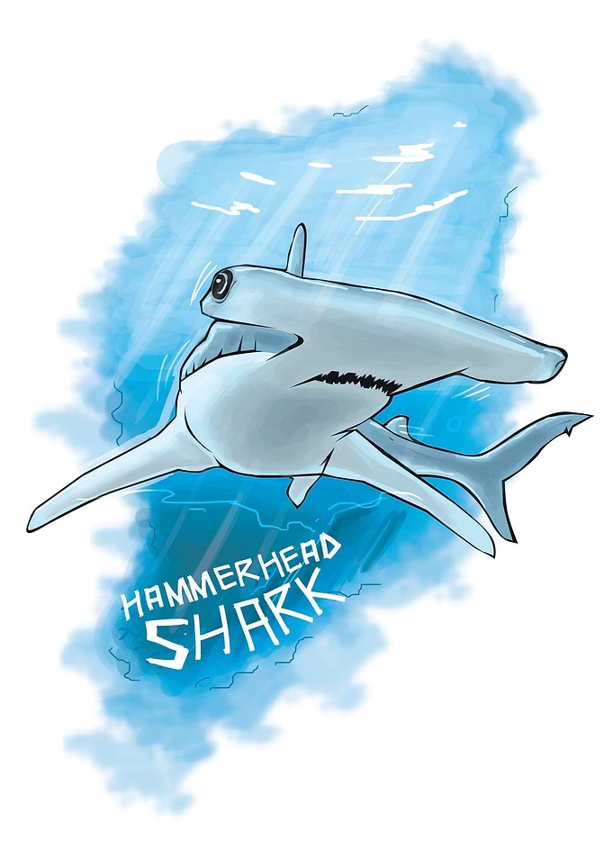 Hammerhead shark artwork