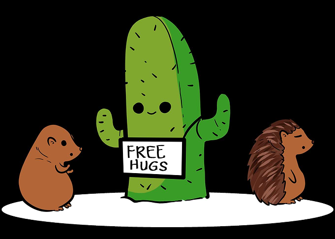 Hedgehog Hug Animal Lover