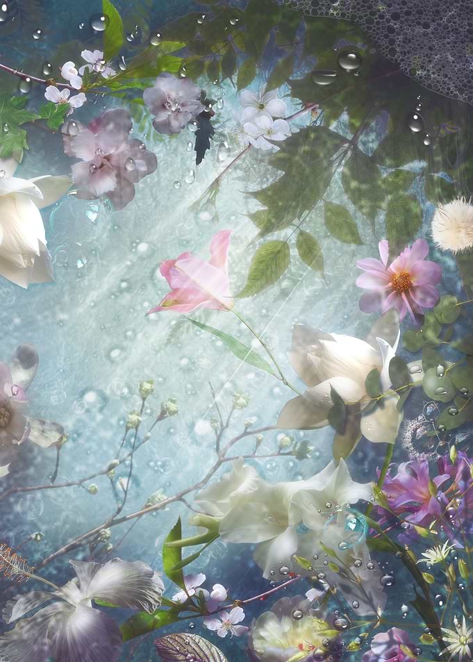 Flowers and Waters