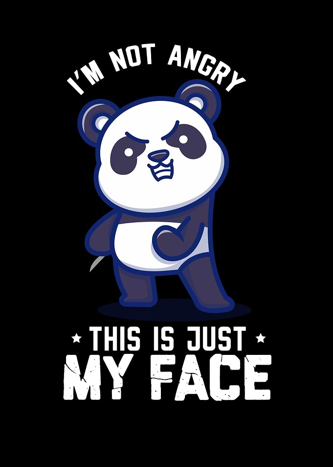 Panda Pandas Panda Baby