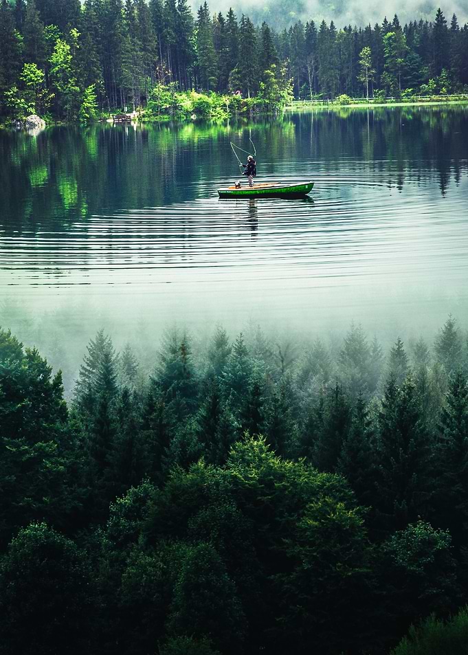 Fishing in the lake forest