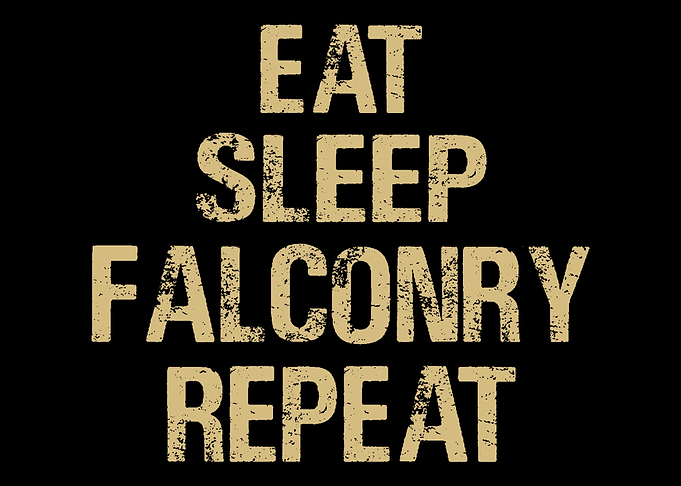 Falconry Falcon Falconer