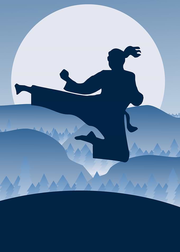 Fly kick Karate