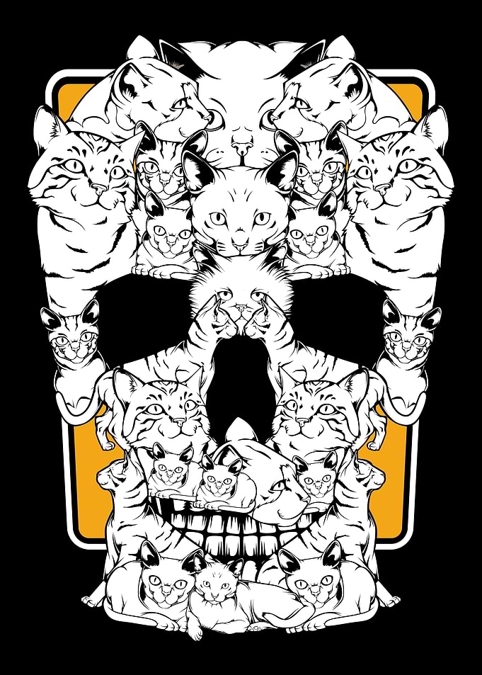 Cat Skull Kitty Skeleton