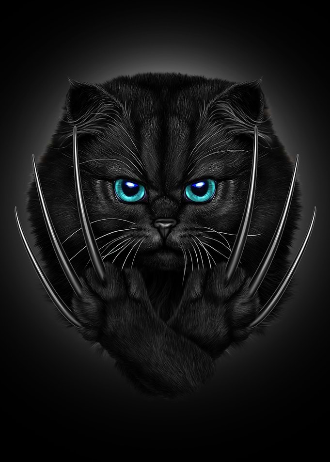 Warrior Black Cat