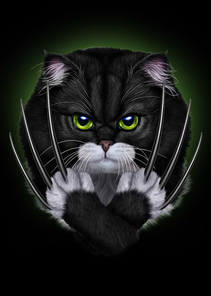 Warrior Tuxedo Cat