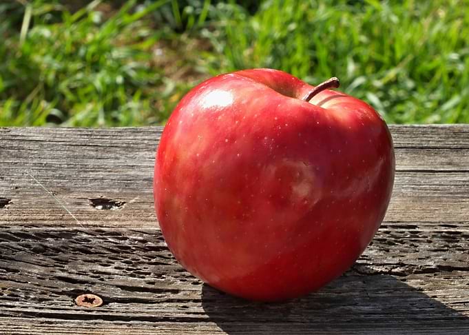 Red Apple