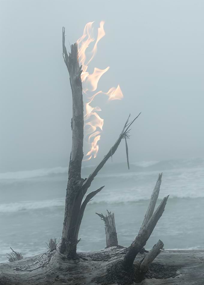 Torch