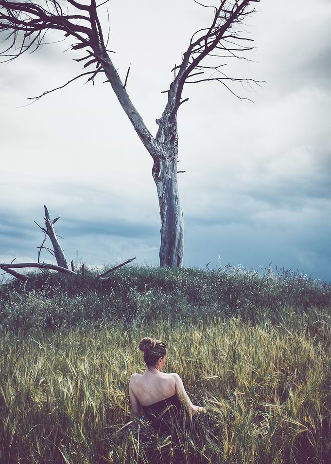 the girl and the tree