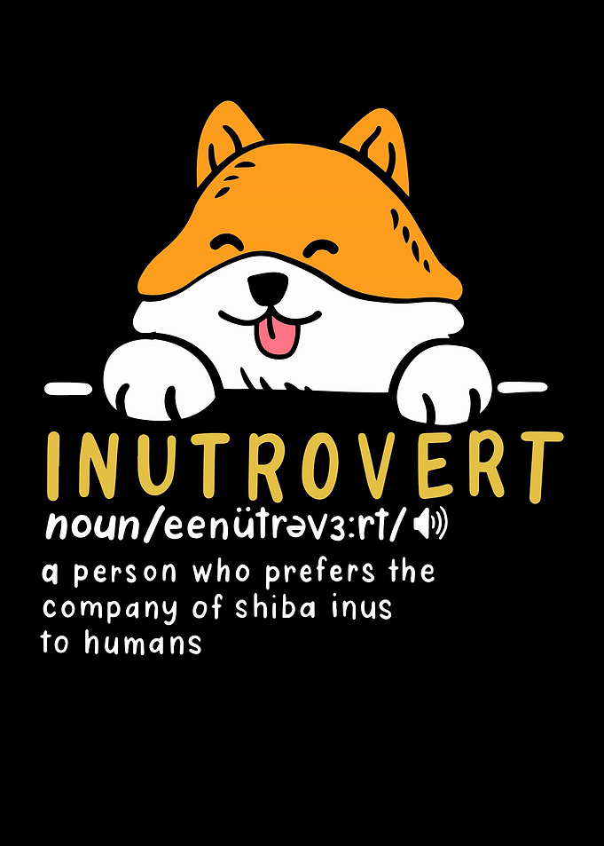 Inutrovert A Person Who