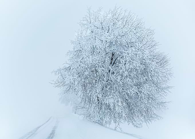 Winter road