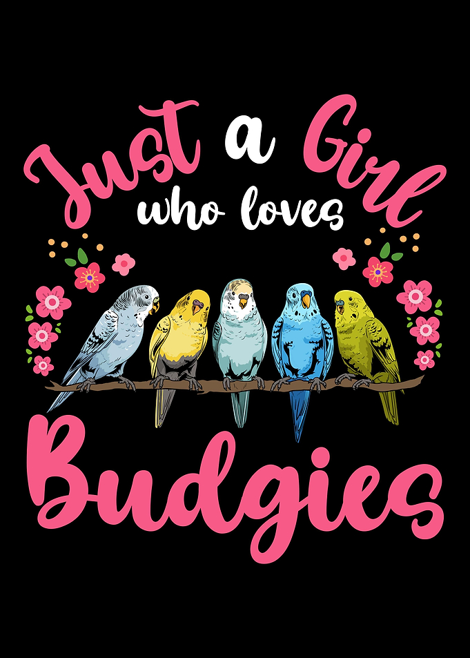 Budgie Budgerigar Budgie L
