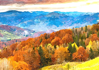 Autumn Forest