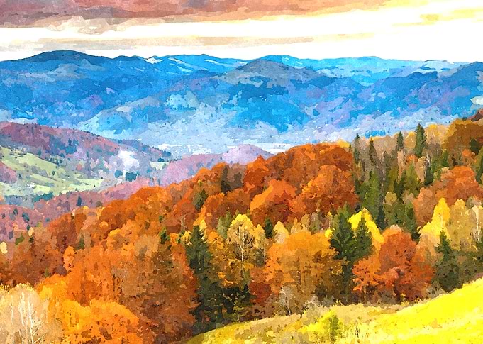 Autumn Forest