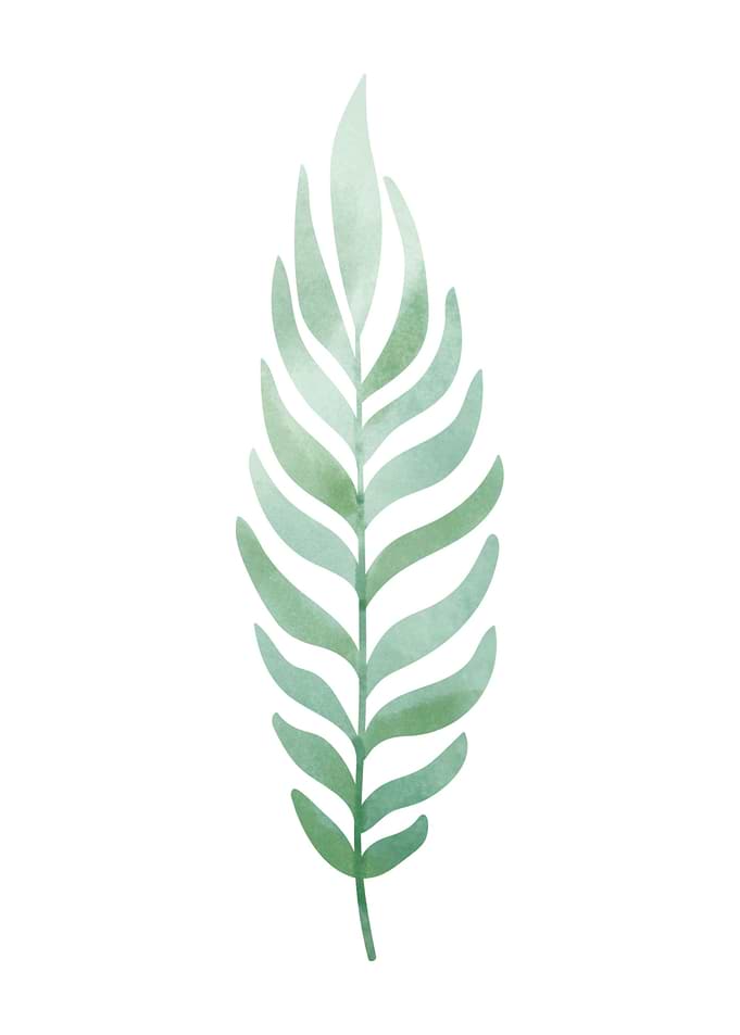 Minimalistic leaves