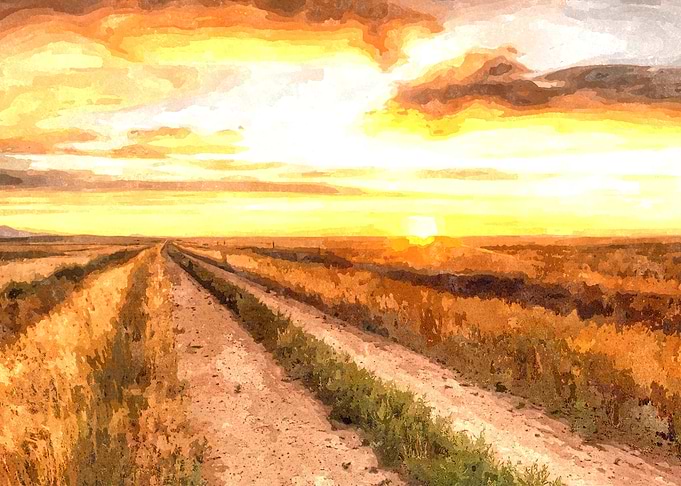 Summer Prairie