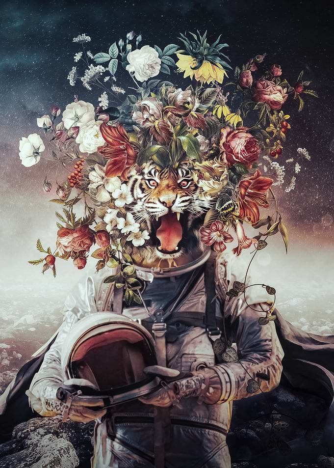 Space Cat