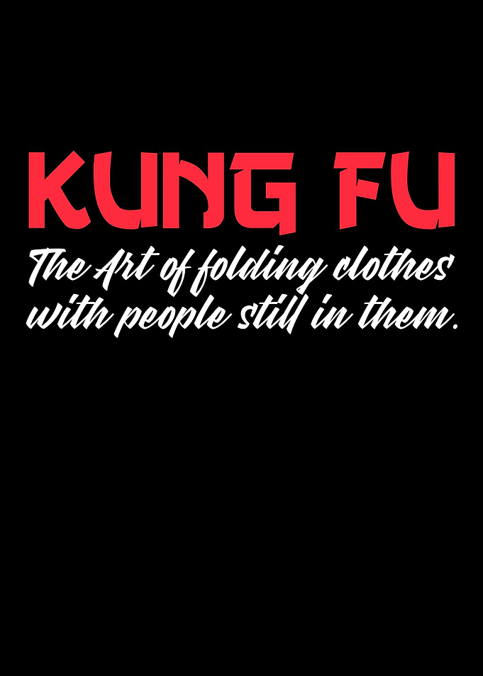 kung fu the art