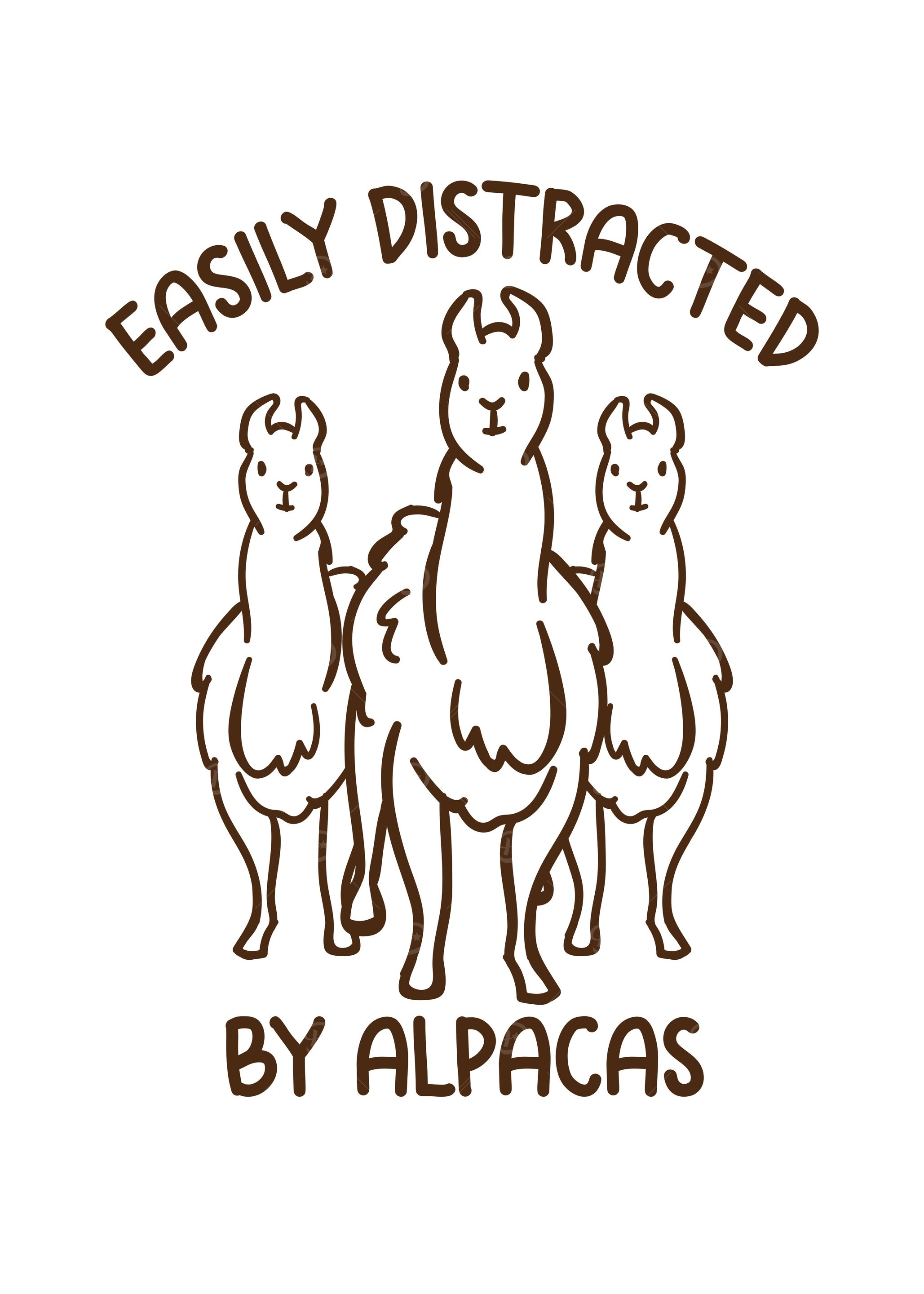 Distracted by Alpacas