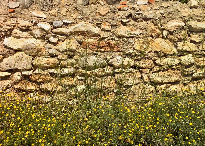 Natural stone wall