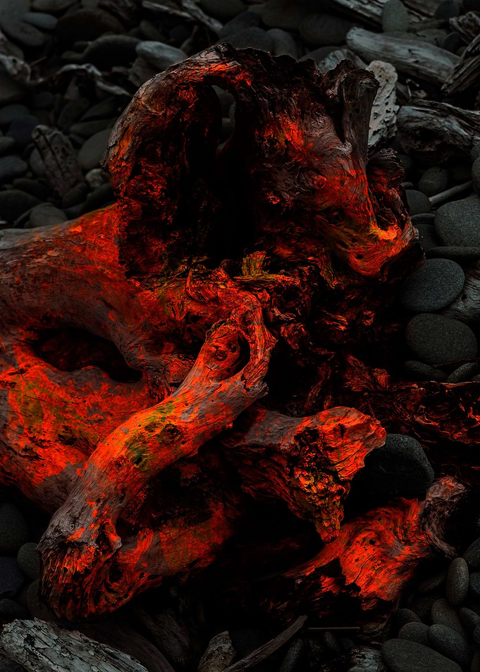 Splatter Root