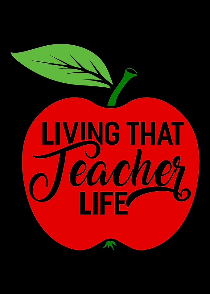 Teacher Teaching School