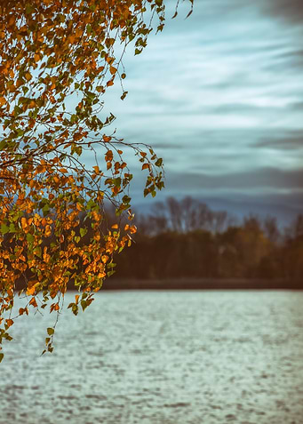 Autumn sunset, lake, trees