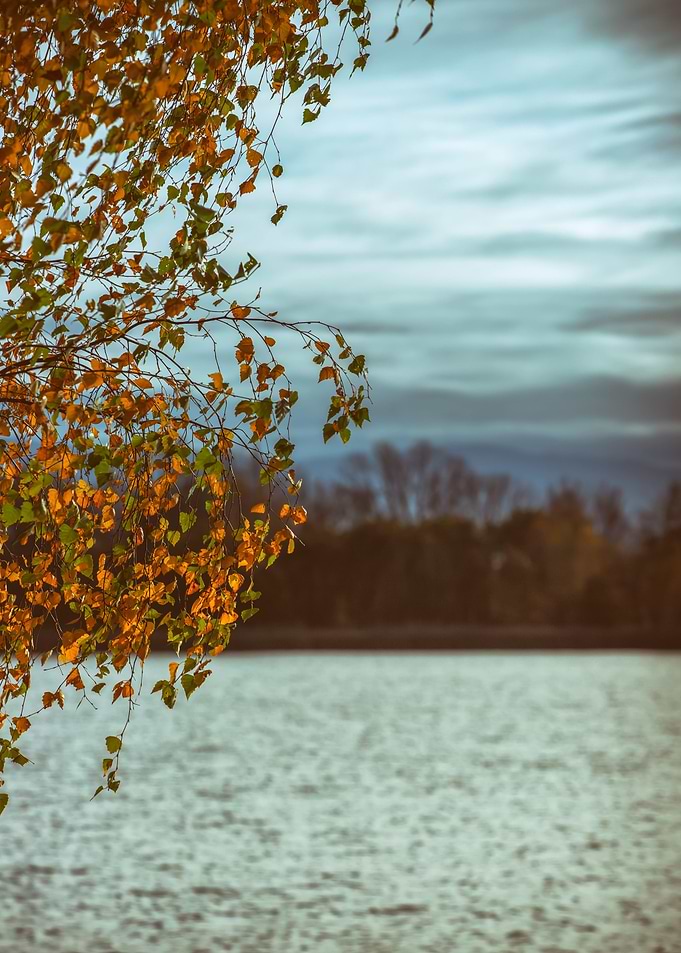 Autumn sunset, lake, trees