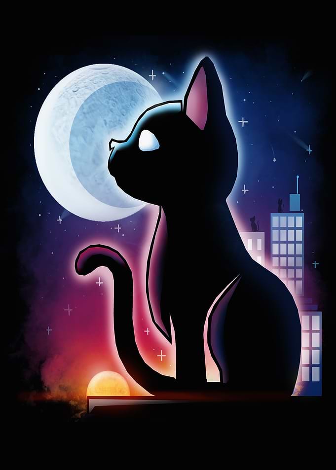 City Cat