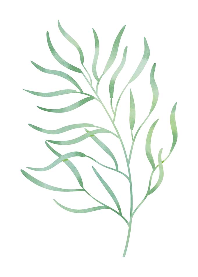 Modern green branch