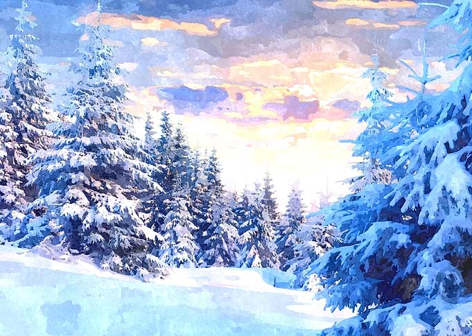 Winter Forest