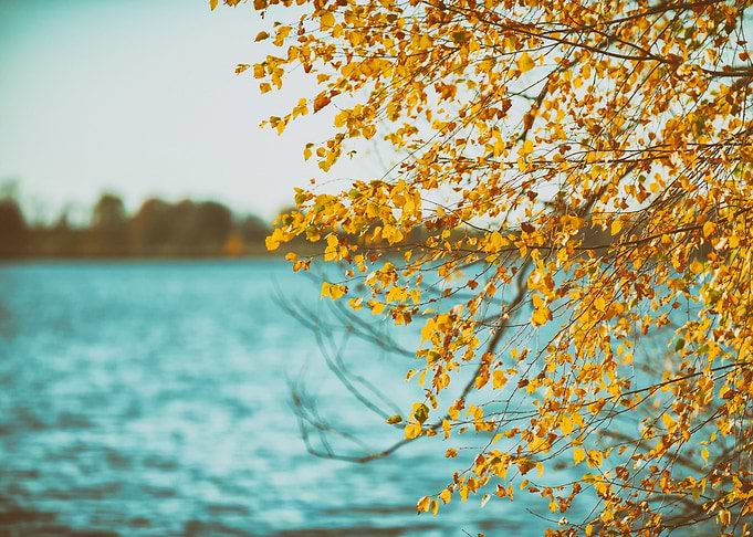 Autumn sunset, lake, trees